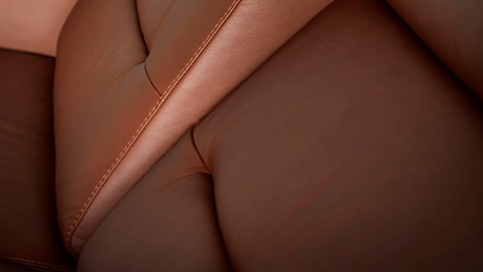 Stella Feature2